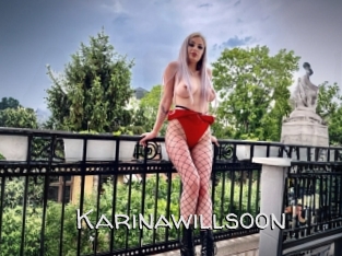 Karinawillsoon