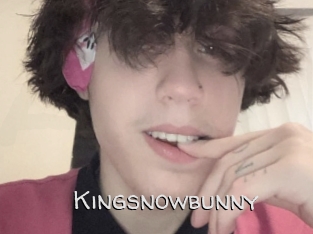 Kingsnowbunny