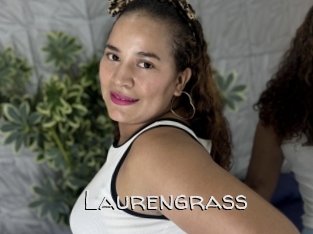 Laurengrass