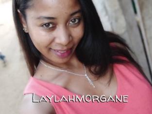 Laylahmorgane