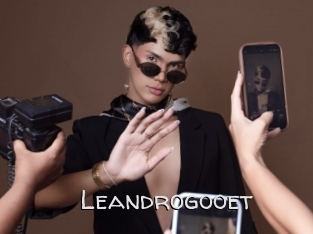 Leandrogooet