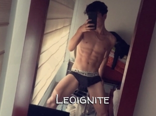 Leoignite