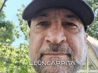 Leoncarpita