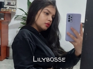 Lilybosse