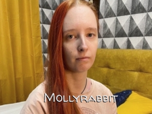 Mollyrabbit