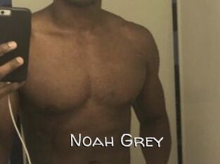 Noah_Grey