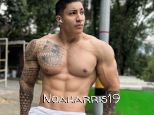 Noaharris19