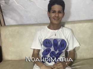 noahdimaria Adult dvd gold