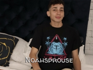 Noahsprouse