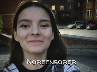 Noreenborer