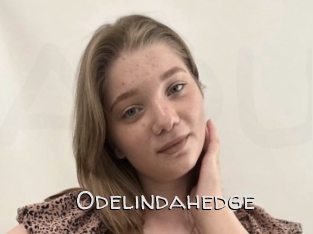 Odelindahedge