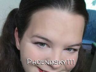 Phoenixsky111