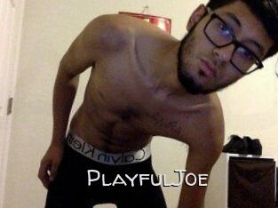 PlayfulJoe