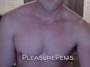 PleasurePenis