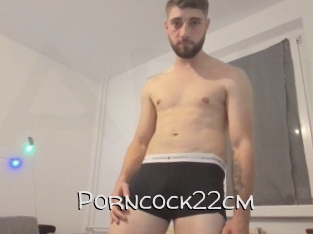 Porncock22cm