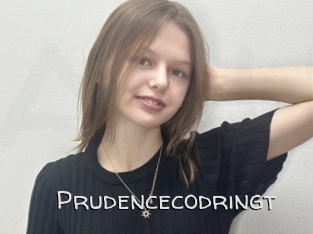 Prudencecodringt