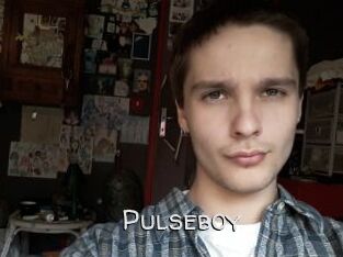 pulseboy Adult dvd gold