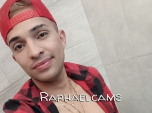 Raphaelcams