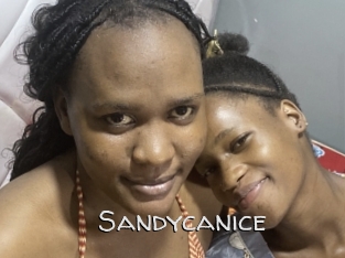 Sandycanice