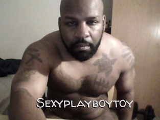 Sexyplayboytoy