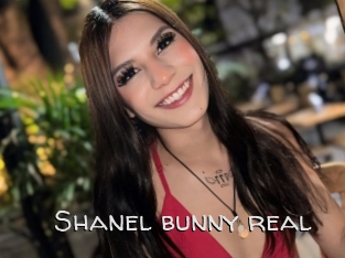 Shanel_bunny_real