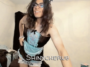 Shinycherub