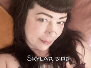 Skylar_bird