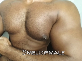 Smellofmale