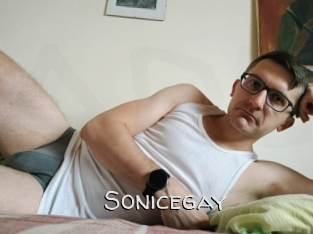 Sonicegay