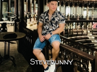 Stevebunny