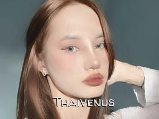 Thaivenus