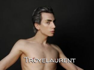 troyelaurent Adult dvd gold