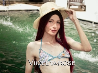 Viioletarose