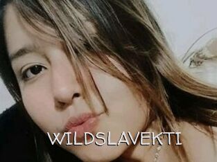 WILDSLAVEKTI