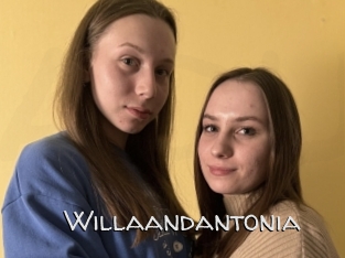 Willaandantonia