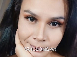 Wilsongay