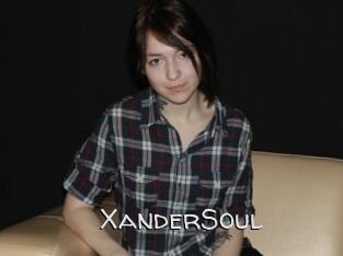 XanderSoul Adult dvd gold