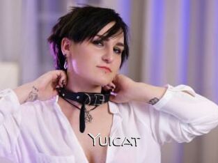 yuicat Adult dvd gold