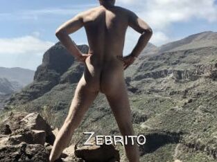 Zebrito