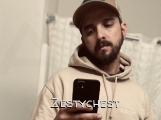 Zestychest