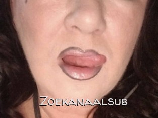 Zoekanaalsub